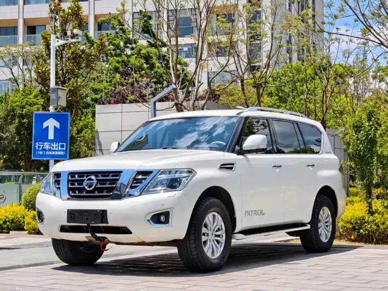 Nissan Patrol, 2019 — фото 1