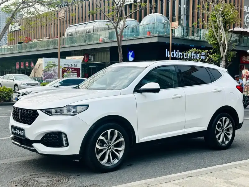 Wey VV6, 2019