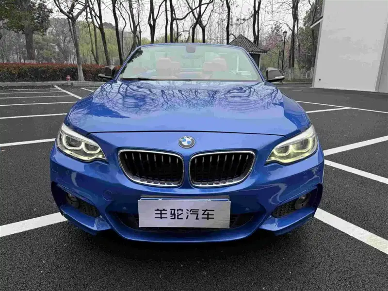 BMW 2 Series (Import), 2015 — фото 1
