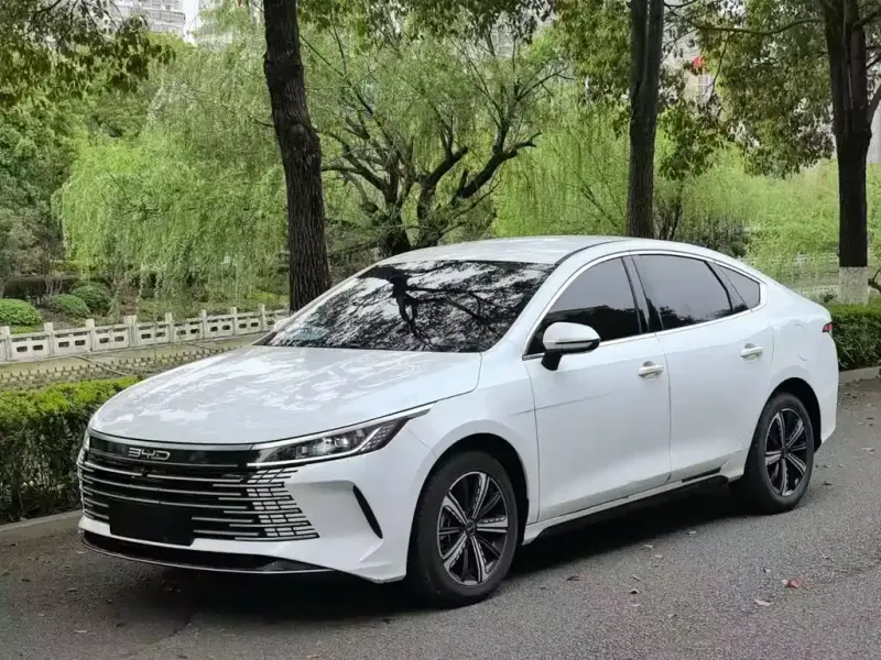 BYD Destroyer 05, 2024