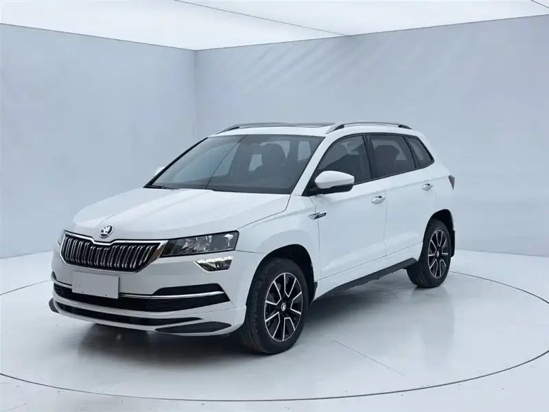 Skoda Karoq, 2024 — фото 1