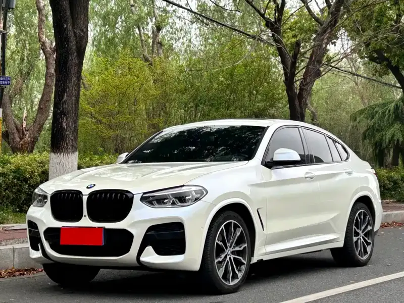 BMW X4, 2021 — фото 1