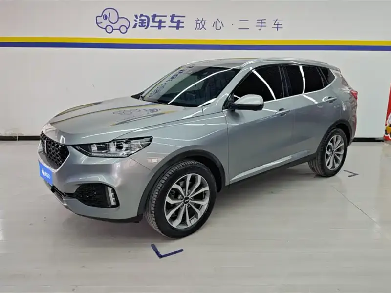Wey VV6, 2019