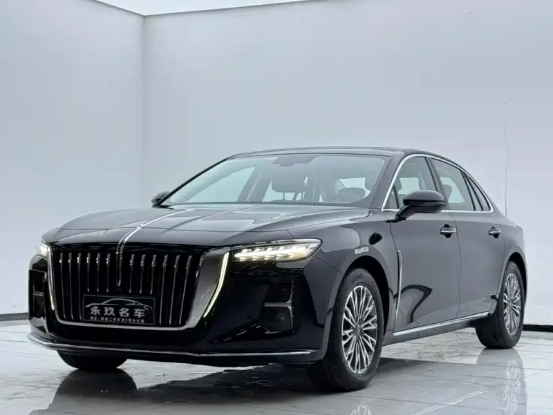 Hongqi H5, 2024