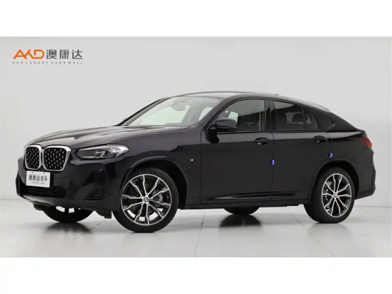 BMW X4, 2024 — фото 1