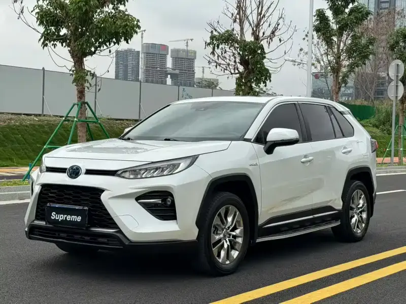 Toyota Wildlander, 2020