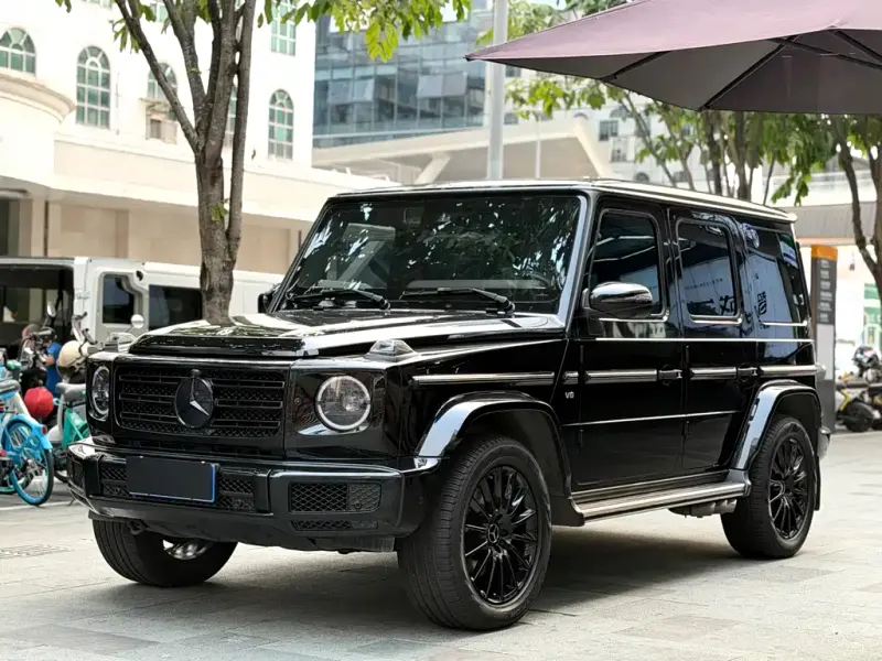 Mercedes-Benz G-Class, 2020 — фото 1