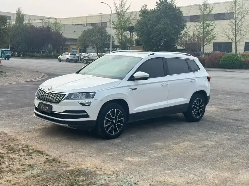 Skoda Karoq, 2019 — фото 1
