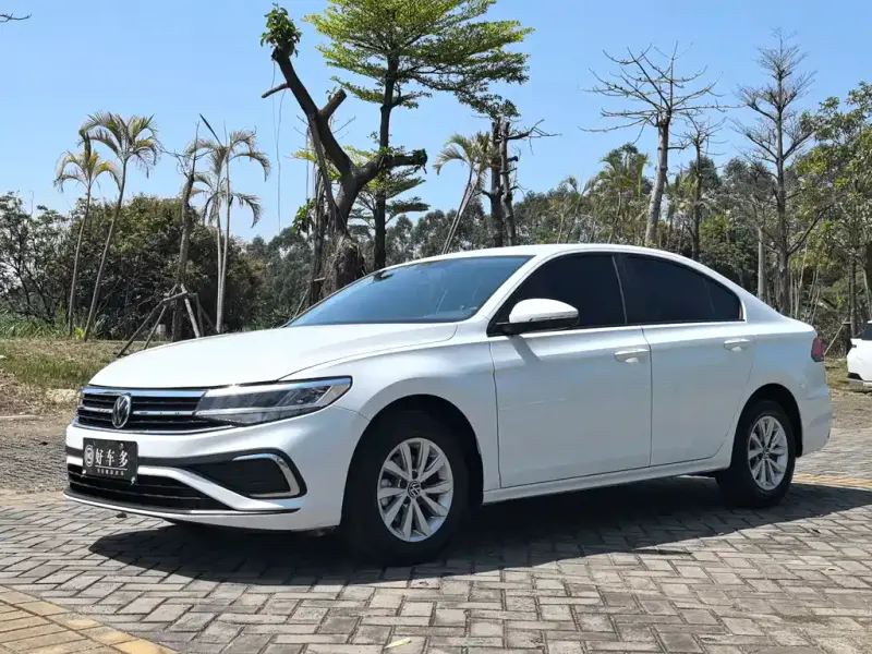 Volkswagen Bora, 2024