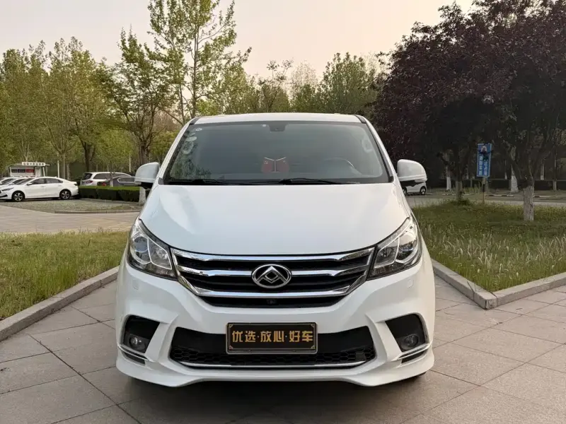 Maxus G10, 2017