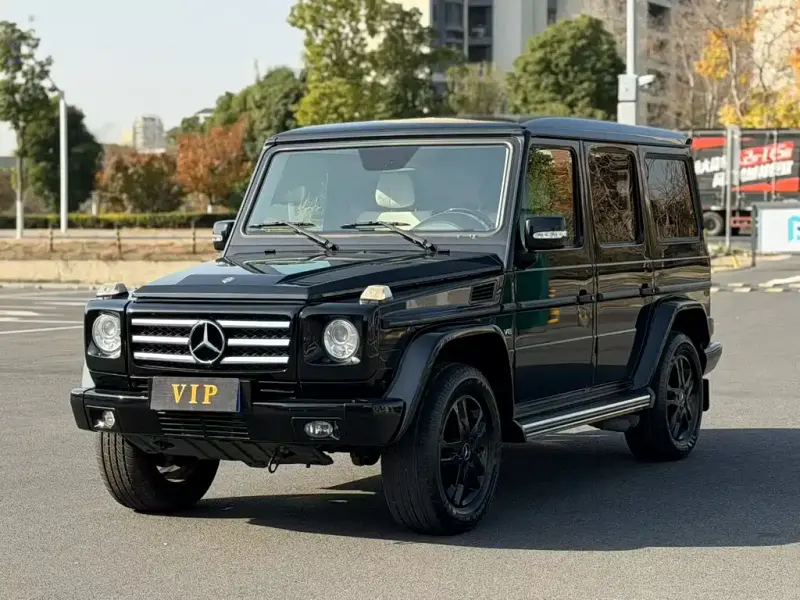 Mercedes-Benz G-Class, 2013 — фото 1
