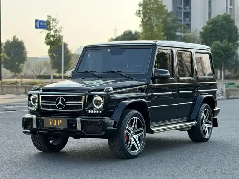 Mercedes-Benz G-Class, 2013 — фото 1