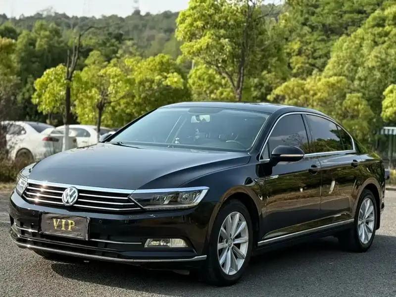 Volkswagen Magotan, 2019