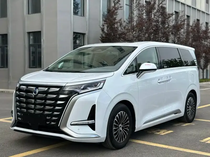 Denza D9, 2024