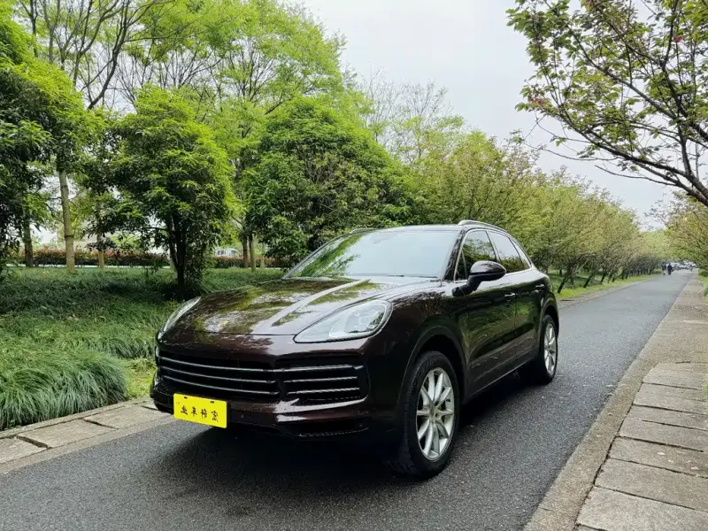 Porsche Cayenne, 2020